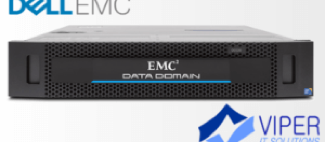 DataDomain-1-300x157 (1)
